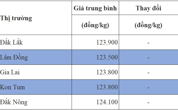 Giá cà phê hôm nay 30/7/2024: Giá cà phê hôm nay 30/7/2024: