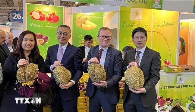 Bài 1: Hành trình đưa hàng Việt vươn ra “biển lớn” Bài 1: Hành trình đưa hàng Việt vươn ra “biển lớn”