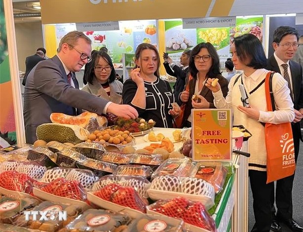 Bài 1: Hành trình đưa hàng Việt vươn ra “biển lớn” Bài 1: Hành trình đưa hàng Việt vươn ra “biển lớn”