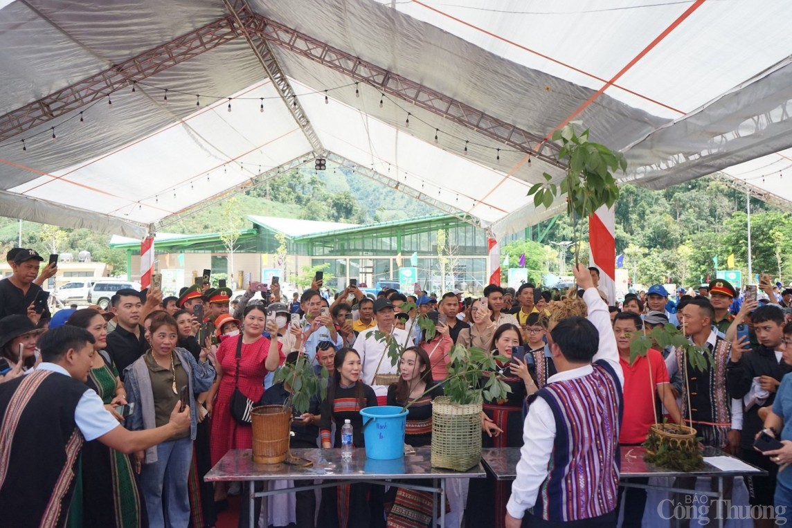 Buổi đấu giá sâm Ngọc Linh thu hút đông đảo người dân, du khách tham gia đấu giá