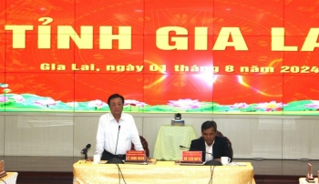 Gia Lai đề nghị Bộ Nông nghiệp & Phát triển nông thôn hỗ trợ 'hồi sinh' 12.000 ha cao su