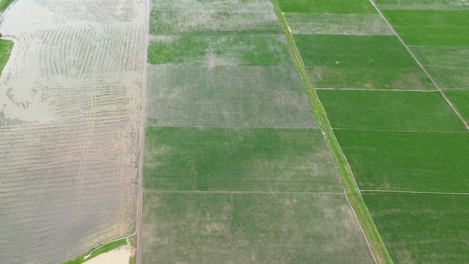 Huyện Chương Mỹ, Hà Nội ảnh hưởng nặng nề sau bão số 2. (Ảnh: nongnghiep.vn) Huyện Chương Mỹ, Hà Nội ảnh hưởng nặng nề sau bão số 2. (Ảnh: nongnghiep.vn)