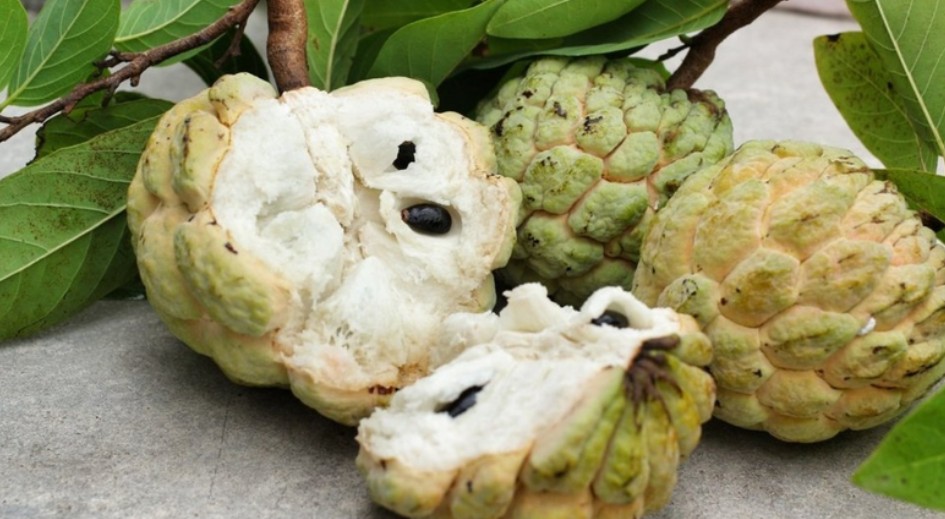 Na là một loại trái cây tốt cho người bệnh tiểu đường Na là một loại trái cây tốt cho người bệnh tiểu đường