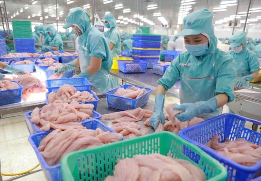 Top 3 thị trường tiêu thụ nhiều nhất cá tra giá trị gia tăng Việt Nam Top 3 thị trường tiêu thụ nhiều nhất cá tra giá trị gia tăng Việt Nam