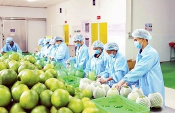 Trái cây Việt “tỏa sáng