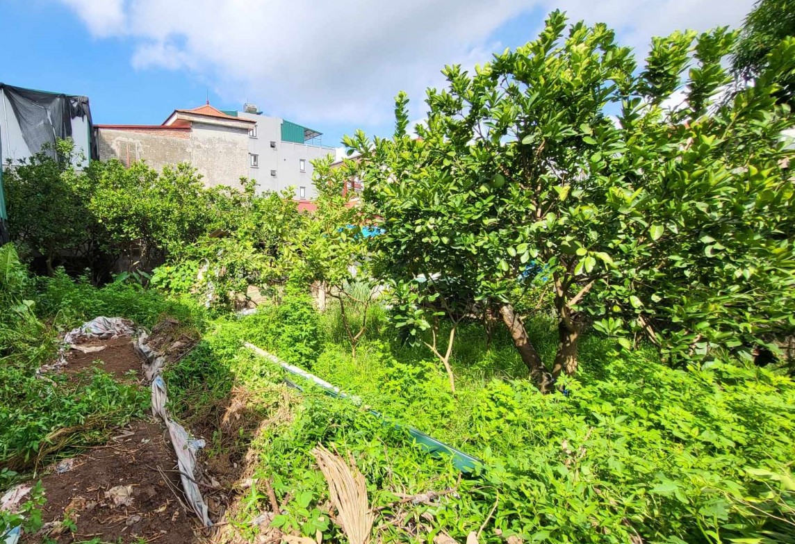 Được cởi trói, giá đất 'xen kẹt' tăng phi mã Được cởi trói, giá đất 'xen kẹt' tăng phi mã