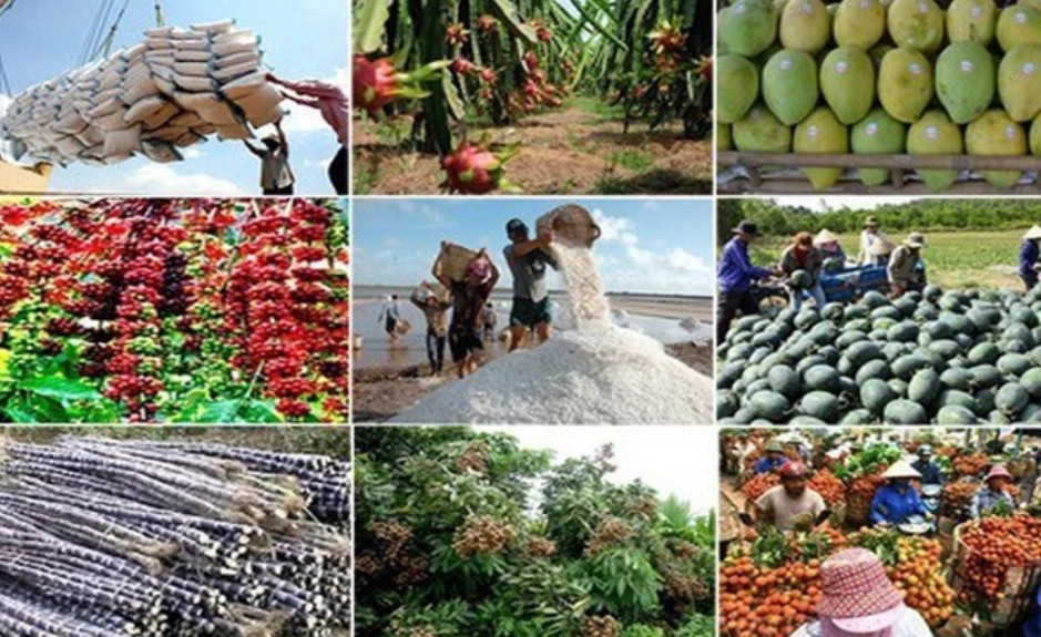 Xuất khẩu tuần từ 29/7- 4/8: 4 nhóm hàng có kim ngạch tăng thêm từ 1 tỷ USD trở lên Xuất khẩu tuần từ 29/7- 4/8: 4 nhóm hàng có kim ngạch tăng thêm từ 1 tỷ USD trở lên