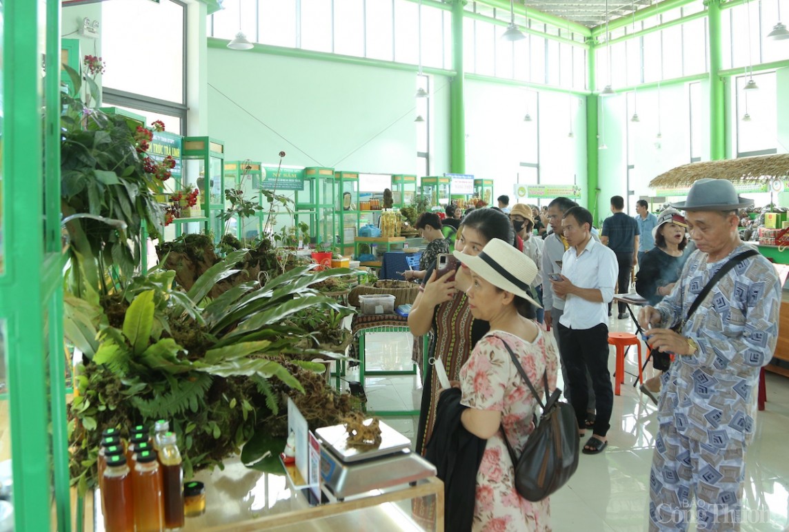 Người dân, du khách tham quan, giao dịch tại phiên chợ sâm Ngọc Linh Người dân, du khách tham quan, giao dịch tại phiên chợ sâm Ngọc Linh