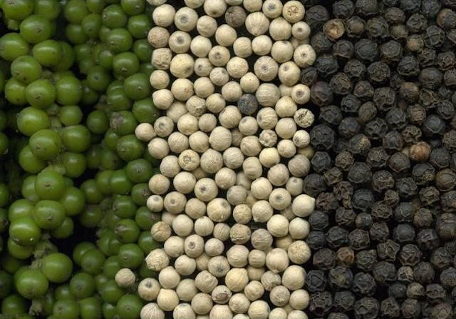 Dự báo giá tiêu ngày 5/8/2024: Dự báo giá tiêu ngày 5/8/2024: