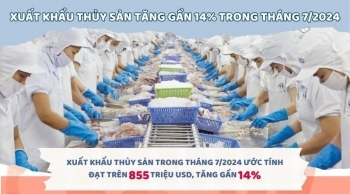 Infographic | Xuất khẩu thủy sản tăng trưởng khởi sắc trong tháng 7/2024