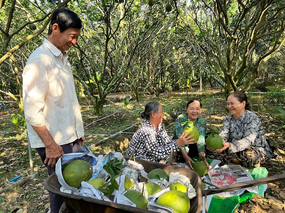 Phân Bón Cà Mau đồng hành cùng bà con mang lại những vụ mùa thắng lớn Phân Bón Cà Mau đồng hành cùng bà con mang lại những vụ mùa thắng lớn