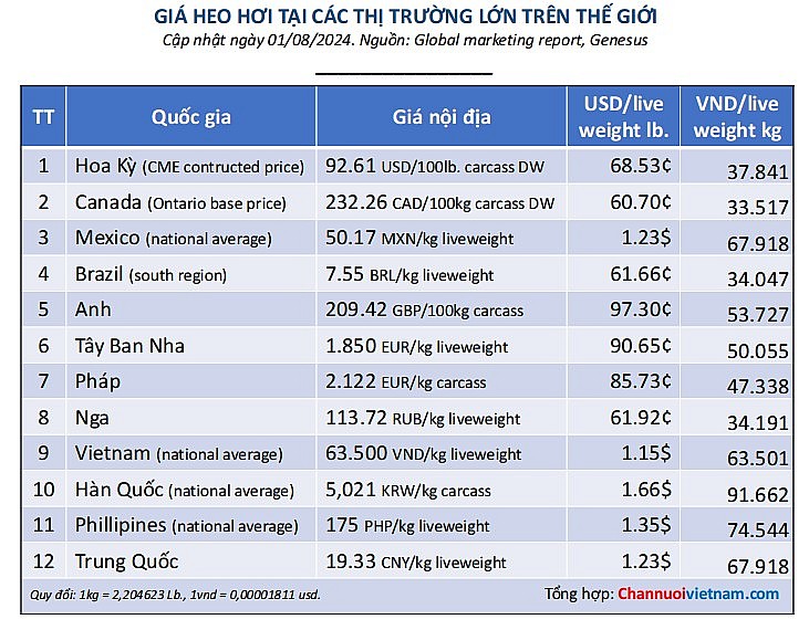 Giá heo hơi xuất chuồng tại các thị trường lớn trên thế giới ngày 01/08/2024 (Nguồn: Global marketing report, Genesus). Giá heo hơi xuất chuồng tại các thị trường lớn trên thế giới ngày 01/08/2024 (Nguồn: Global marketing report, Genesus).
