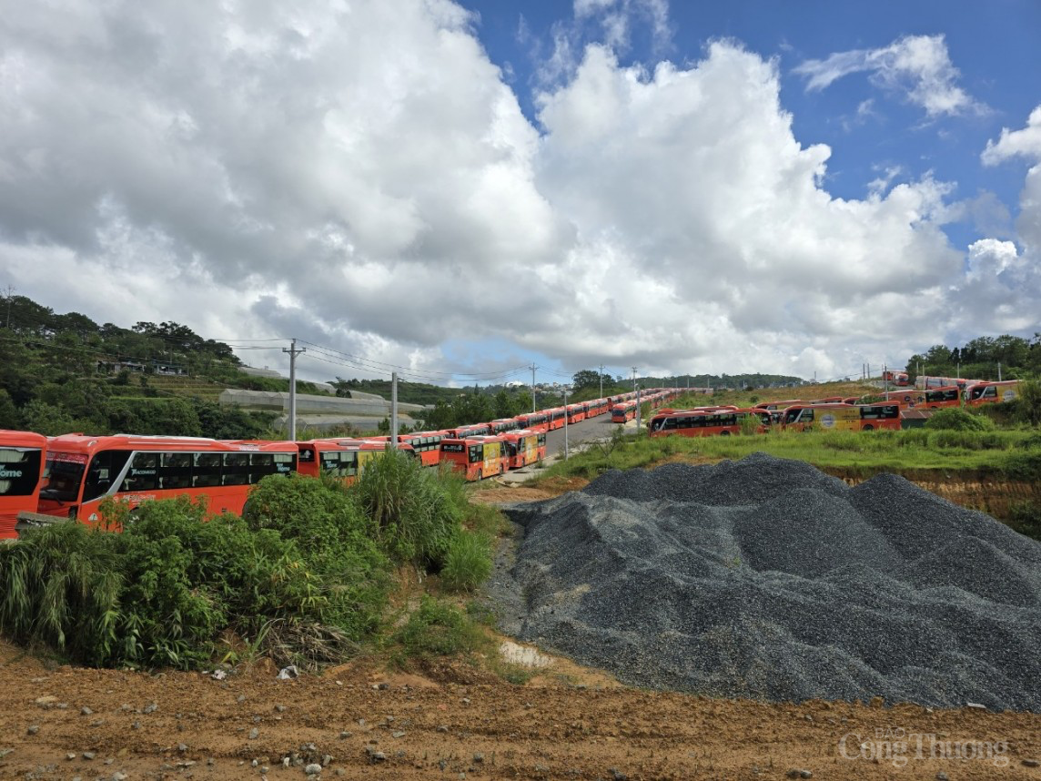 Lâm Đồng: Công ty Phương Trang cam kết di dời bãi xe ‘trái phép’ trong tháng 8/2024 Lâm Đồng: Công ty Phương Trang cam kết di dời bãi xe ‘trái phép’ trong tháng 8/2024