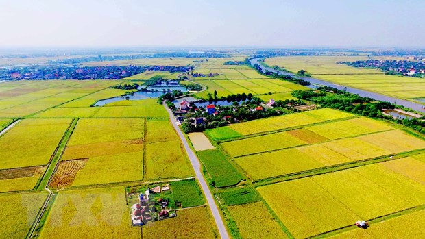 Những điểm mới Luật đất đai 2024: Hộ gia đình không thuộc đối tượng người sử dụng đất Những điểm mới Luật đất đai 2024: Hộ gia đình không thuộc đối tượng người sử dụng đất