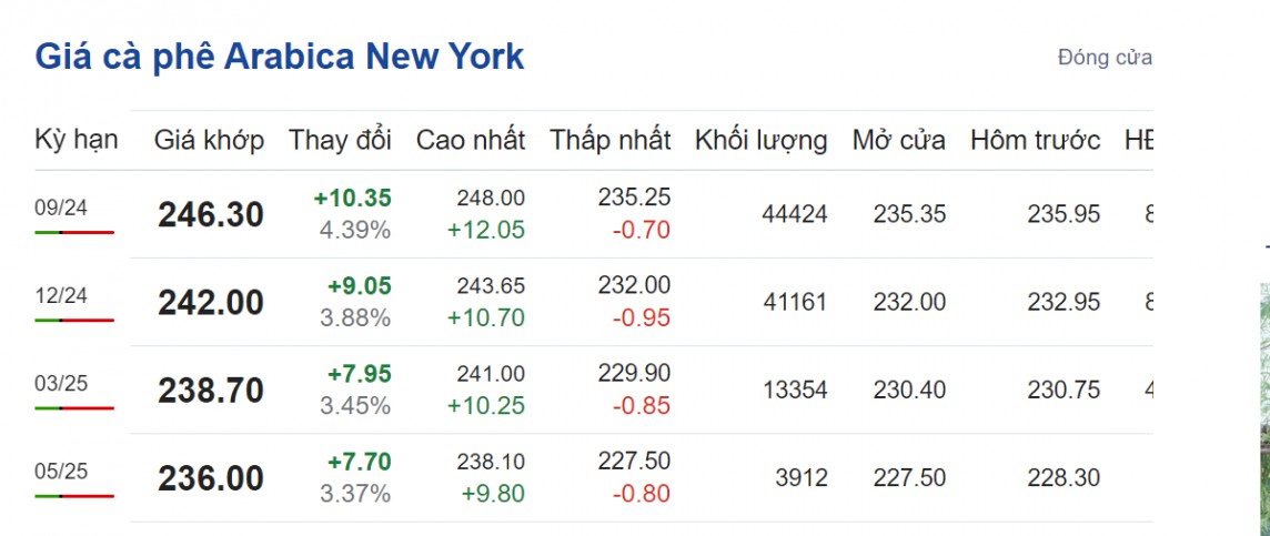 Giá cà phê hôm nay 8/8/2024: