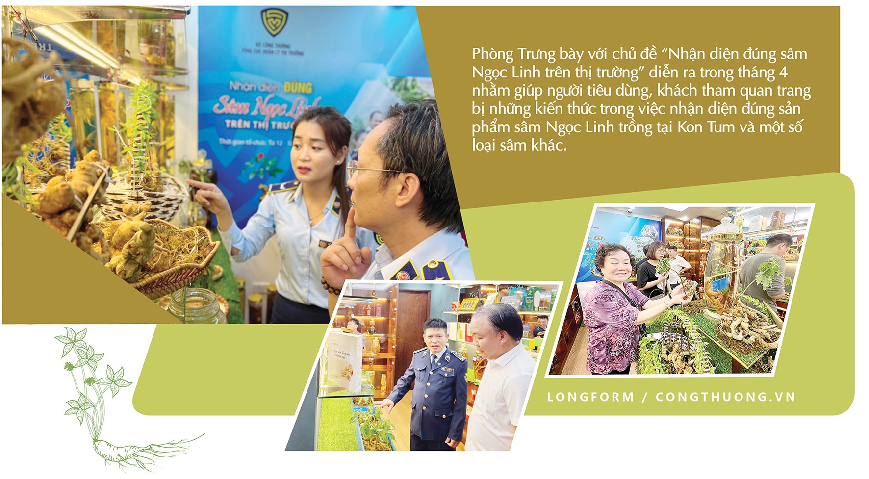 Longform | Xây dựng và bảo vệ thương hiệu 'quốc bảo' sâm Ngọc Linh Longform | Xây dựng và bảo vệ thương hiệu 'quốc bảo' sâm Ngọc Linh
