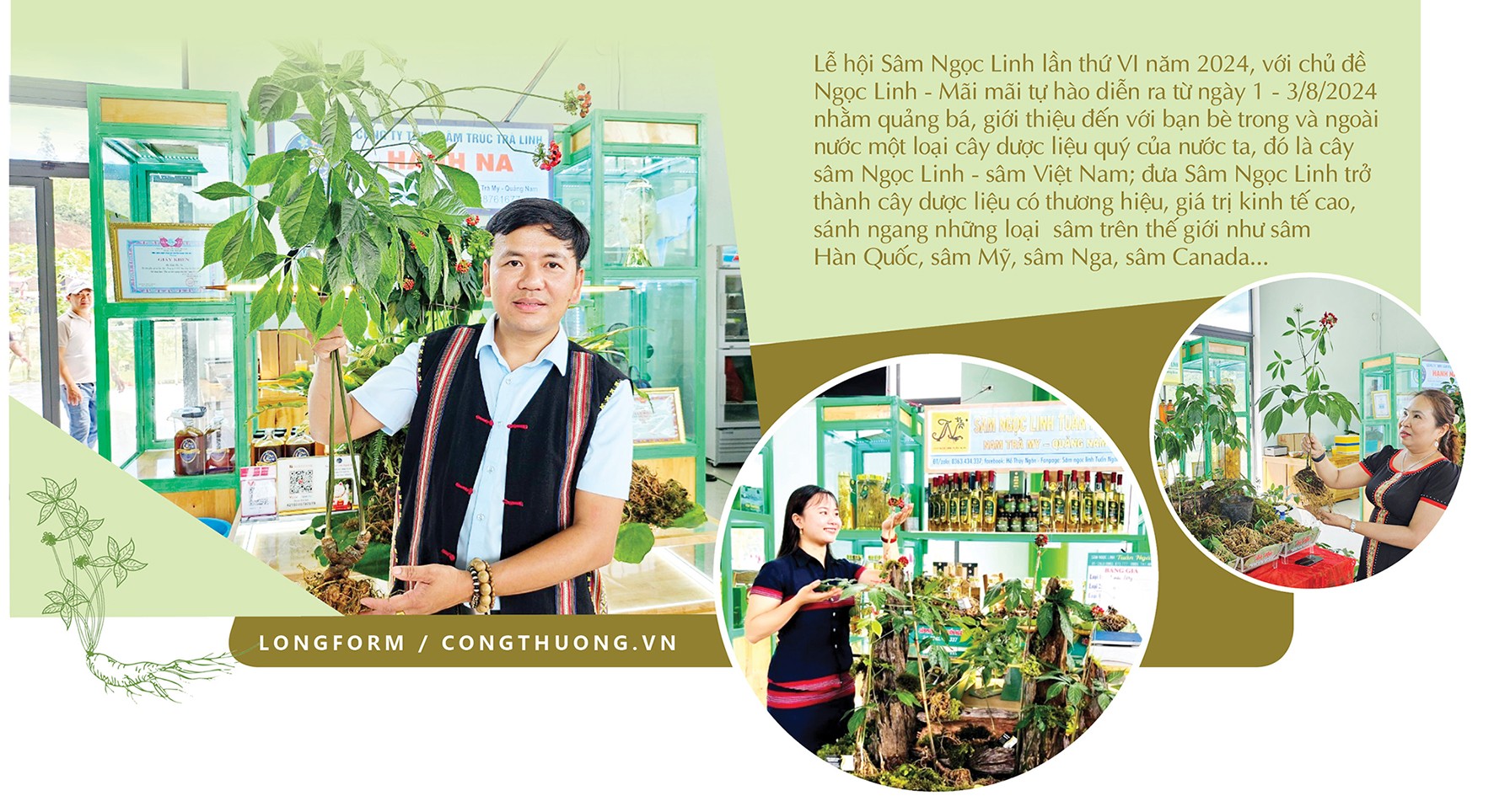 Longform | Xây dựng và bảo vệ thương hiệu 'quốc bảo' sâm Ngọc Linh Longform | Xây dựng và bảo vệ thương hiệu 'quốc bảo' sâm Ngọc Linh