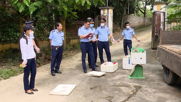 Phú Thọ: Xử phạt một cá nhân vận chuyển hàng hóa không đảm bảo vệ sinh an toàn thực phẩm Phú Thọ: Xử phạt một cá nhân vận chuyển hàng hóa không đảm bảo vệ sinh an toàn thực phẩm