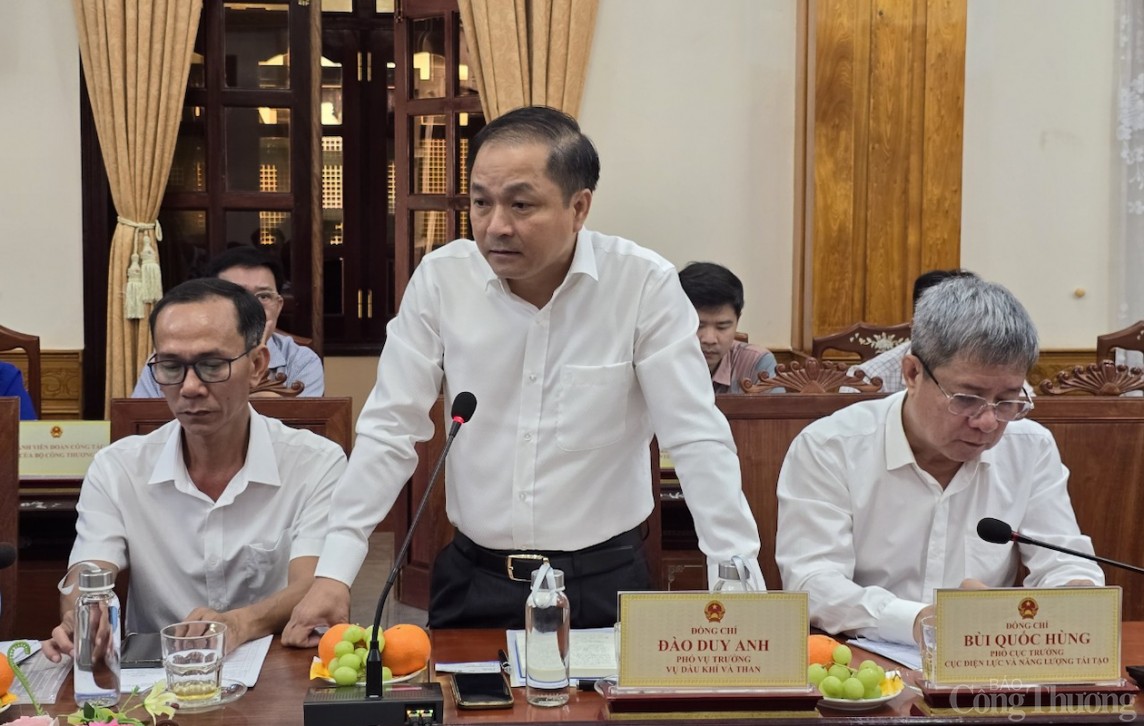 Phó Vụ trưởng Vụ Dầu khí và Than Đào Duy Anh phát biểu Phó Vụ trưởng Vụ Dầu khí và Than Đào Duy Anh phát biểu