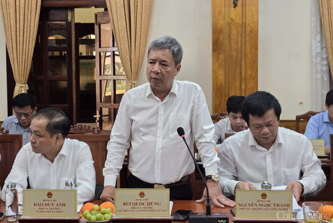 Phó Cục trưởng Cục Điện lực và Năng lượng tái tạo Bùi Quốc Hùng phát biểu Phó Cục trưởng Cục Điện lực và Năng lượng tái tạo Bùi Quốc Hùng phát biểu