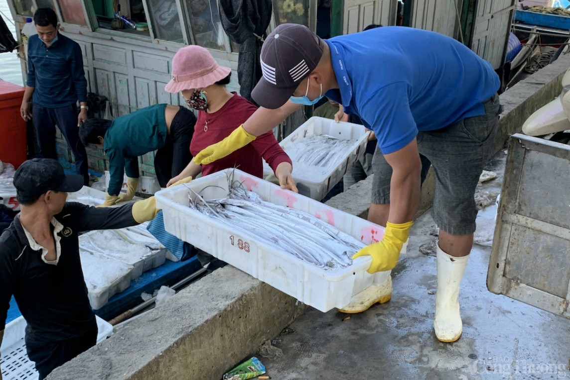 ừ tháng 10/2023 đến tháng 7/2024 đã thực hiện cấp 1.075 giấy xác nhận nguồn gốc thủy sản khai thác với tổng sản lượng 28.009 tấn ừ tháng 10/2023 đến tháng 7/2024 đã thực hiện cấp 1.075 giấy xác nhận nguồn gốc thủy sản khai thác với tổng sản lượng 28.009 tấn