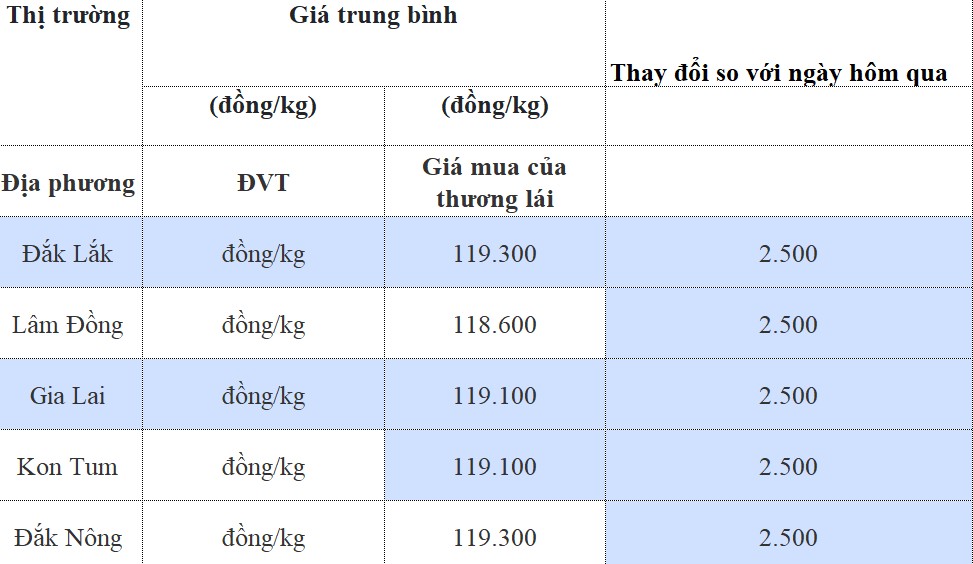 Giá cà phê hôm nay 11/8/2024: Giá cà phê Giá cà phê hôm nay 11/8/2024: Giá cà phê