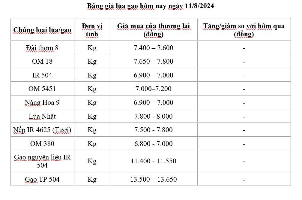 Giá lúa gạo hôm nay ngày 11/8/2024: Ổn định, giá lúa không biến động nhiều Giá lúa gạo hôm nay ngày 11/8/2024: Ổn định, giá lúa không biến động nhiều