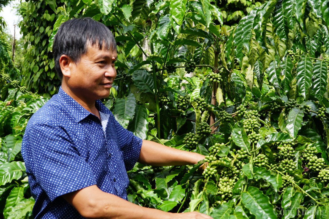 Các doanh nghiệp sản xuất phải lưu ý đến cơ chế điều chỉnh biên giới carbon (CBAM) và quy định chống phá rừng (EUDR) Các doanh nghiệp sản xuất phải lưu ý đến cơ chế điều chỉnh biên giới carbon (CBAM) và quy định chống phá rừng (EUDR)