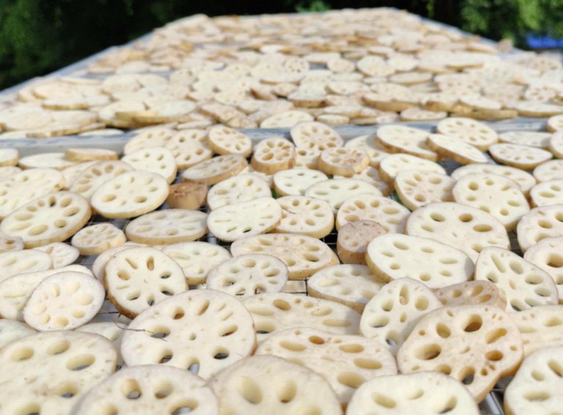 Giá nông sản hôm nay 11/8/2024: Tiêu tiếp tục neo cao, cây giống sầu riêng khan hàng, giá tăng gấp đôi Giá nông sản hôm nay 11/8/2024: Tiêu tiếp tục neo cao, cây giống sầu riêng khan hàng, giá tăng gấp đôi