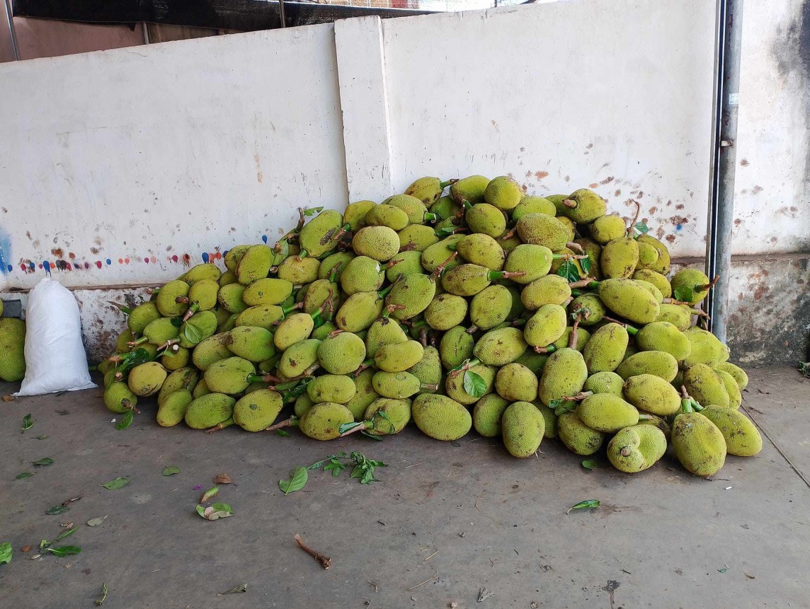 Giá nông sản hôm nay 11/8/2024: Tiêu tiếp tục neo cao, cây giống sầu riêng khan hàng, giá tăng gấp đôi Giá nông sản hôm nay 11/8/2024: Tiêu tiếp tục neo cao, cây giống sầu riêng khan hàng, giá tăng gấp đôi