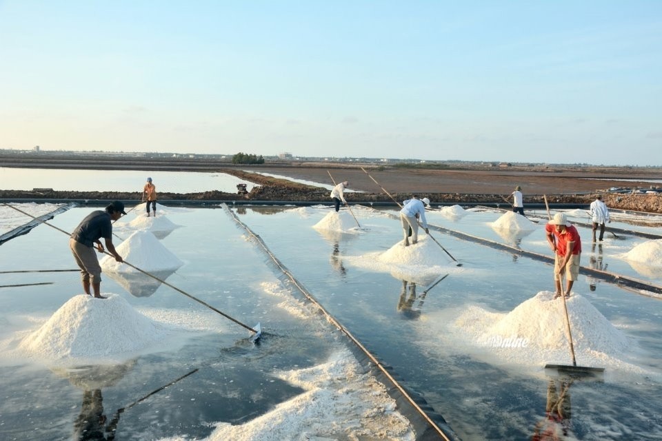 Bạc Liêu: Kiến nghị lùi thời gian tổ chức Festival Festival nghề Muối Việt Nam (Ảnh minh hoạ). Bạc Liêu: Kiến nghị lùi thời gian tổ chức Festival Festival nghề Muối Việt Nam (Ảnh minh hoạ).
