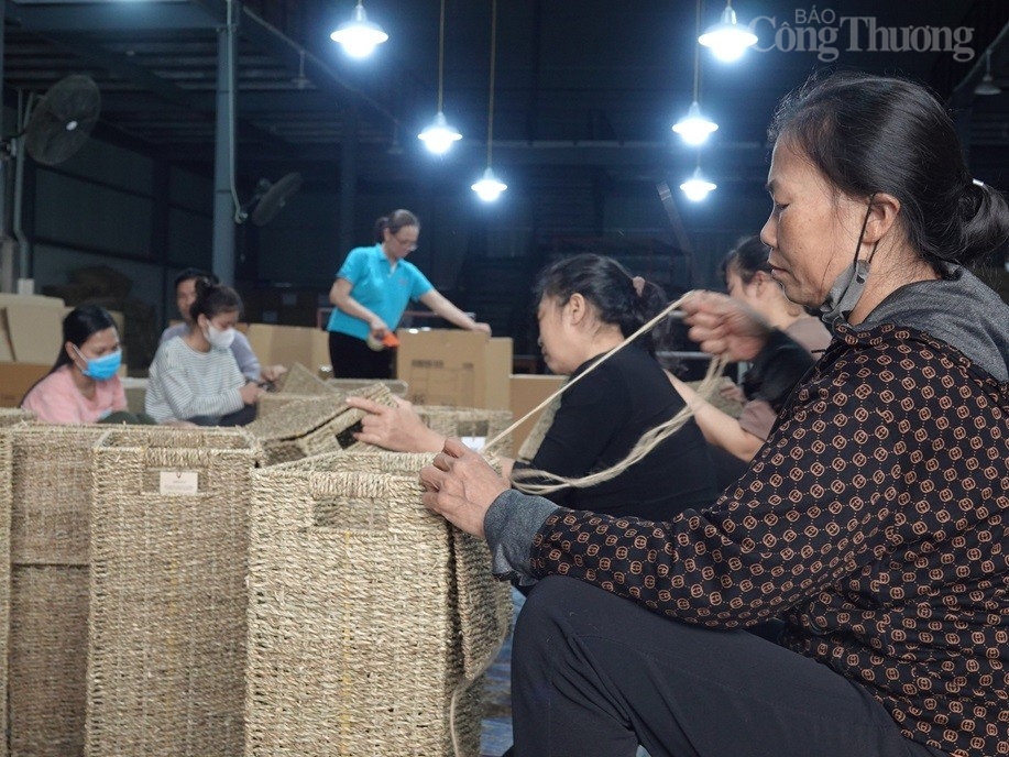 Kinh tế tập thể, hợp tác xã ở tỉnh Thanh Hóa ngày càng có nhiều khởi sắc