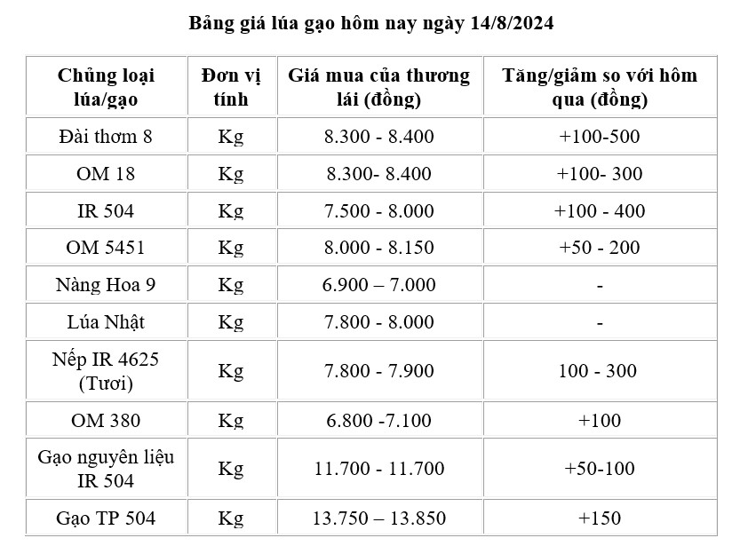 Giá lúa gạo hôm nay ngày 14/8/2024: Giá lúa gạo hôm nay ngày 14/8/2024: