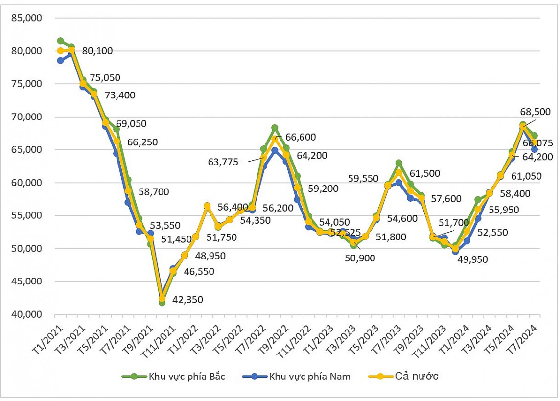 Biến động giá heo hơi Biến động giá heo hơi