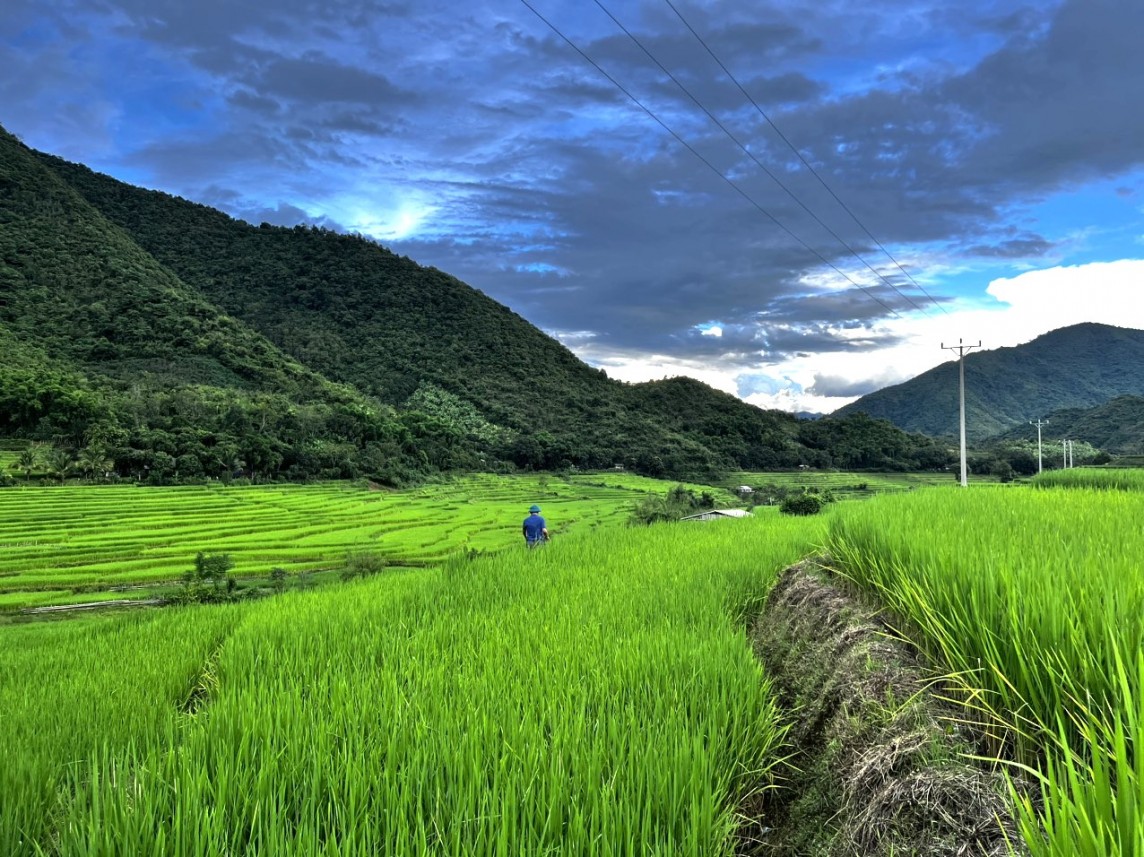 kinh tế mường lát