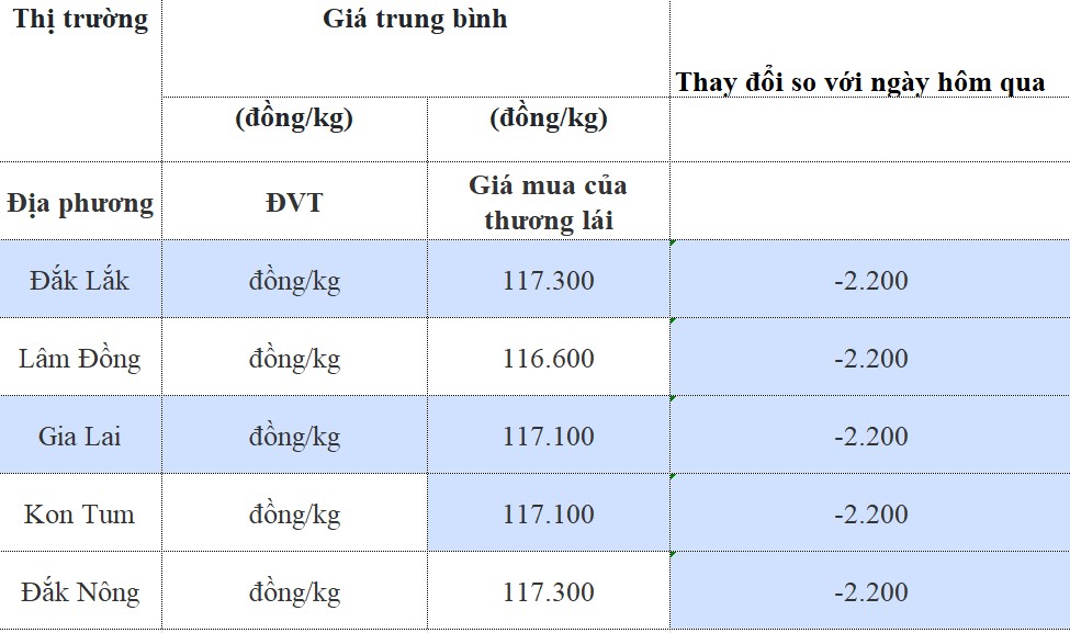 Dự báo giá cà phê 16/8/2024: Dự báo giá cà phê 16/8/2024: