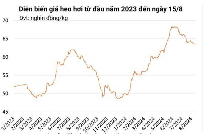 Giá heo hơi hôm nay ngày 15/8/2024: