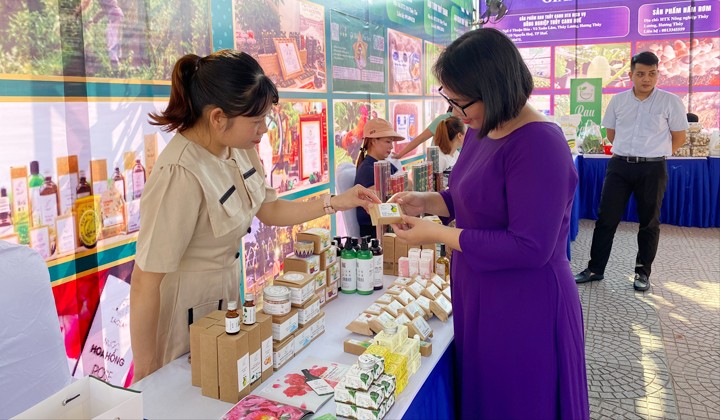 Thừa Thiên Huế: Đẩy mạnh xúc tiến thương mại, tiêu thụ sản phẩm của các hợp tác xã