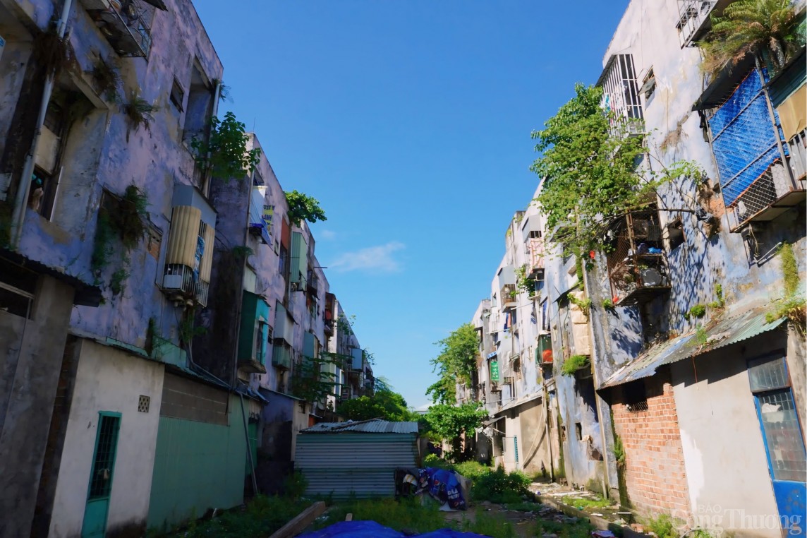 UBND TP Đà Nẵng cũng có kế hoạch sử dụng các khu đất hết hạn sử dụng nêu trên. Khu đất của chung cư Lâm đặc sản Hòa Cường sẽ được sử dụng để xây dựng công viên, nhà sinh hoạt cộng đồng, bãi đỗ xe sau giải tỏa; khu đất chung cư Thuận Phước sẽ xây dựng công viên, bãi đỗ xe và khu đất sau khi giải tỏa chung cư Hòa Minh sẽ xây dựng chung cư.