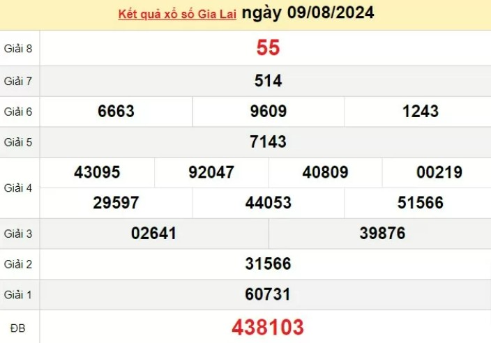 XSGL 9/8, Xem kết quả xổ số Gia Lai hôm nay 9/8/2024, xổ số Gia Lai ngày 9 tháng 8