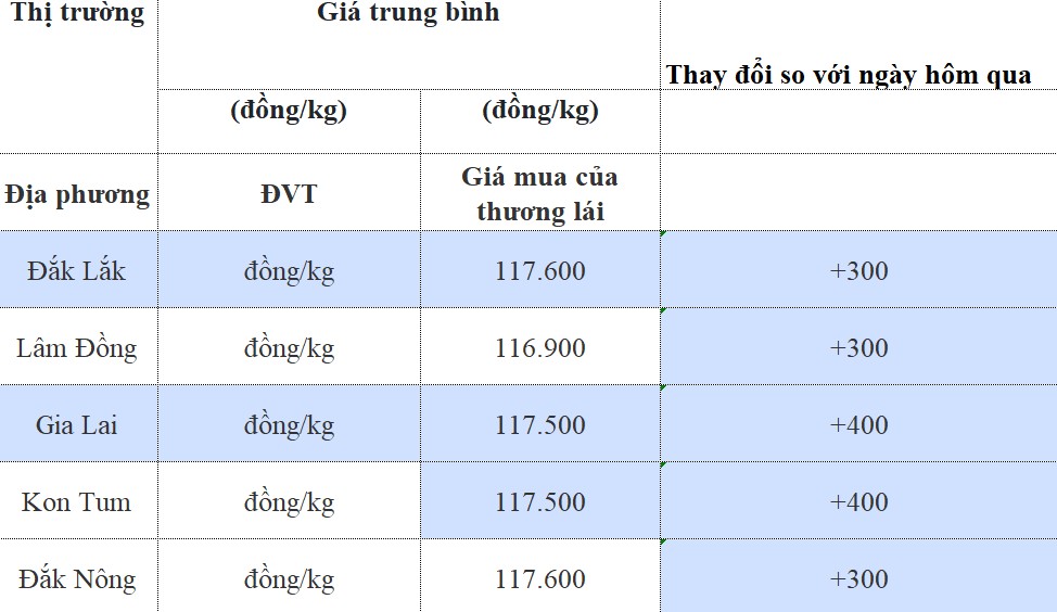 Dự báo giá cà phê 17/8/2024: Tiếp đà tăng Dự báo giá cà phê 17/8/2024: Tiếp đà tăng