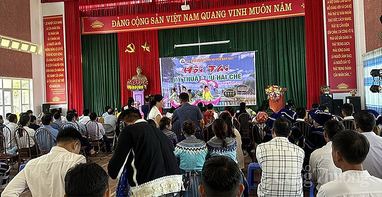 Lào Cai: Tổ chức Hội thi về kỹ thuật thu hái chè huyện Bát Xát năm 2024 Lào Cai: Tổ chức Hội thi về kỹ thuật thu hái chè huyện Bát Xát năm 2024