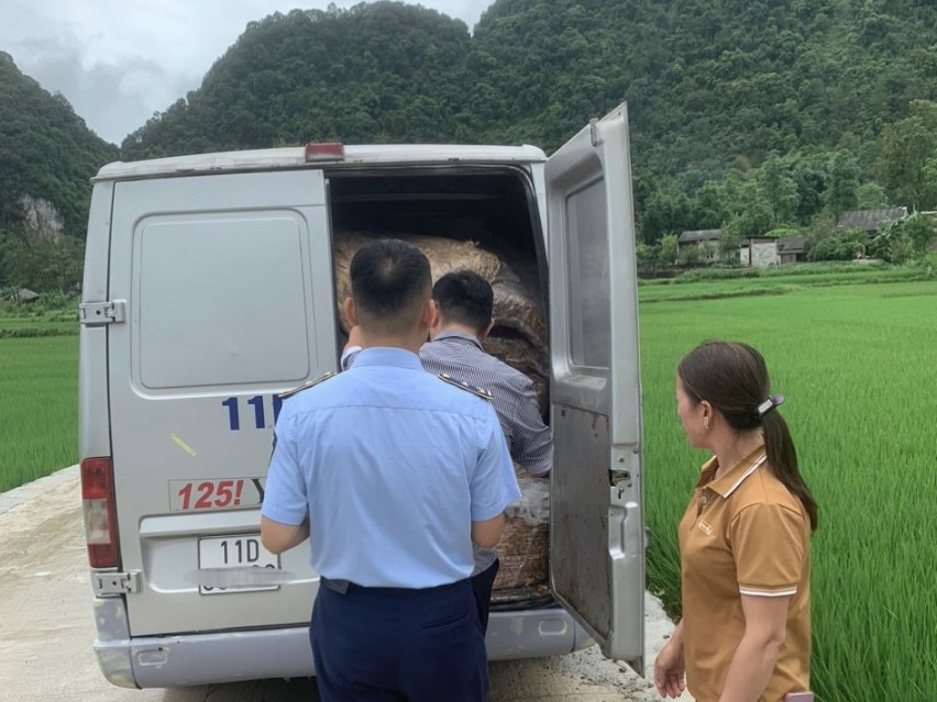 Cao Bằng: Thu giữ trên 1,5 tấn nguyên liệu thuốc lá nhập lậu Cao Bằng: Thu giữ trên 1,5 tấn nguyên liệu thuốc lá nhập lậu