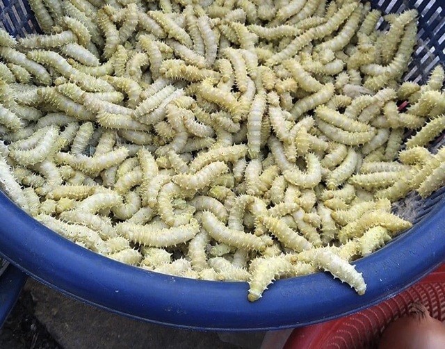 Giá nông sản hôm nay ngày 16/8: Tiêu quay đầu giảm; sầu Thái đồng loạt tăng 106.000 đồng/kg Giá nông sản hôm nay ngày 16/8: Tiêu quay đầu giảm; sầu Thái đồng loạt tăng 106.000 đồng/kg