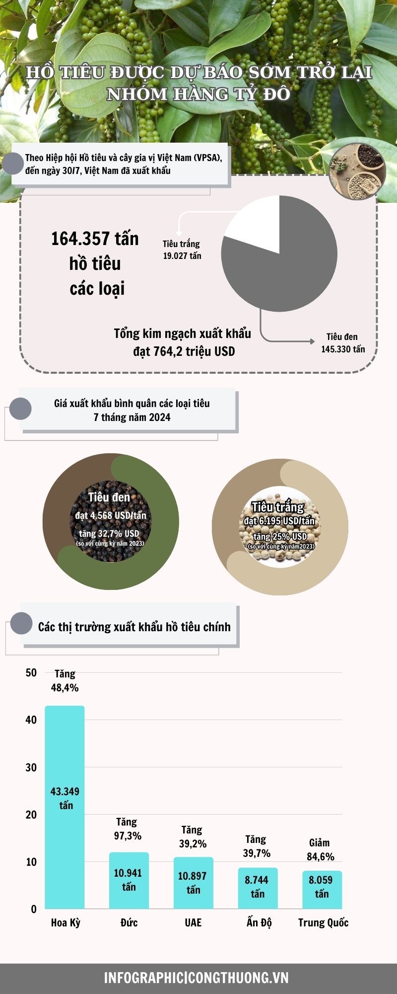 Infographic | Hồ tiêu được dự báo sớm trở lại nhóm hàng tỷ đô Infographic | Hồ tiêu được dự báo sớm trở lại nhóm hàng tỷ đô