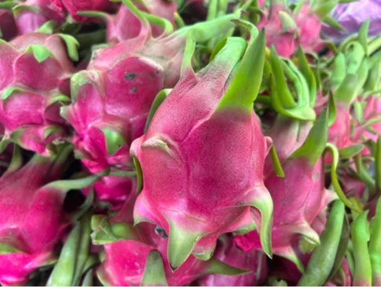 Giá nông sản hôm nay 18/8: Tiêu tăng mạnh trở lại, sầu riêng Ri6 và sầu Thái duy trì ổn định Giá nông sản hôm nay 18/8: Tiêu tăng mạnh trở lại, sầu riêng Ri6 và sầu Thái duy trì ổn định