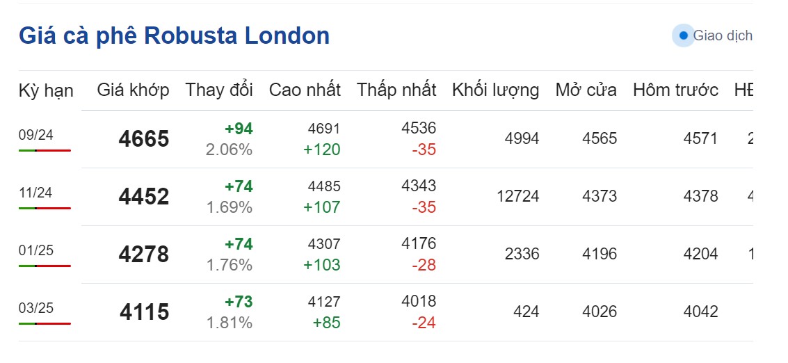 Giá cà phê hôm nay 19/8/2024: Giá cà phê hôm nay 19/8/2024: