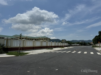 Bà Rịa - Vũng Tàu: Chân dung Công ty Phát Đạt, doanh nghiệp 'thầu đâu, thắng đó' tại huyện Long Điền