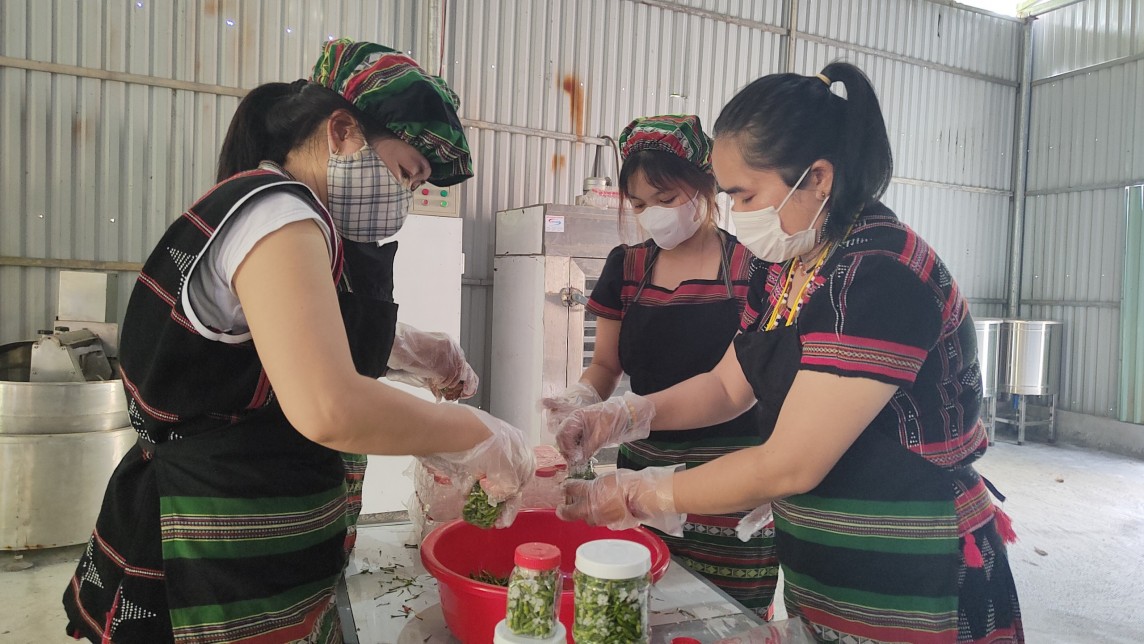 Xúc tiến thương mại ớt A Riêu - Đặc sản miền núi Quảng Nam Xúc tiến thương mại ớt A Riêu - Đặc sản miền núi Quảng Nam