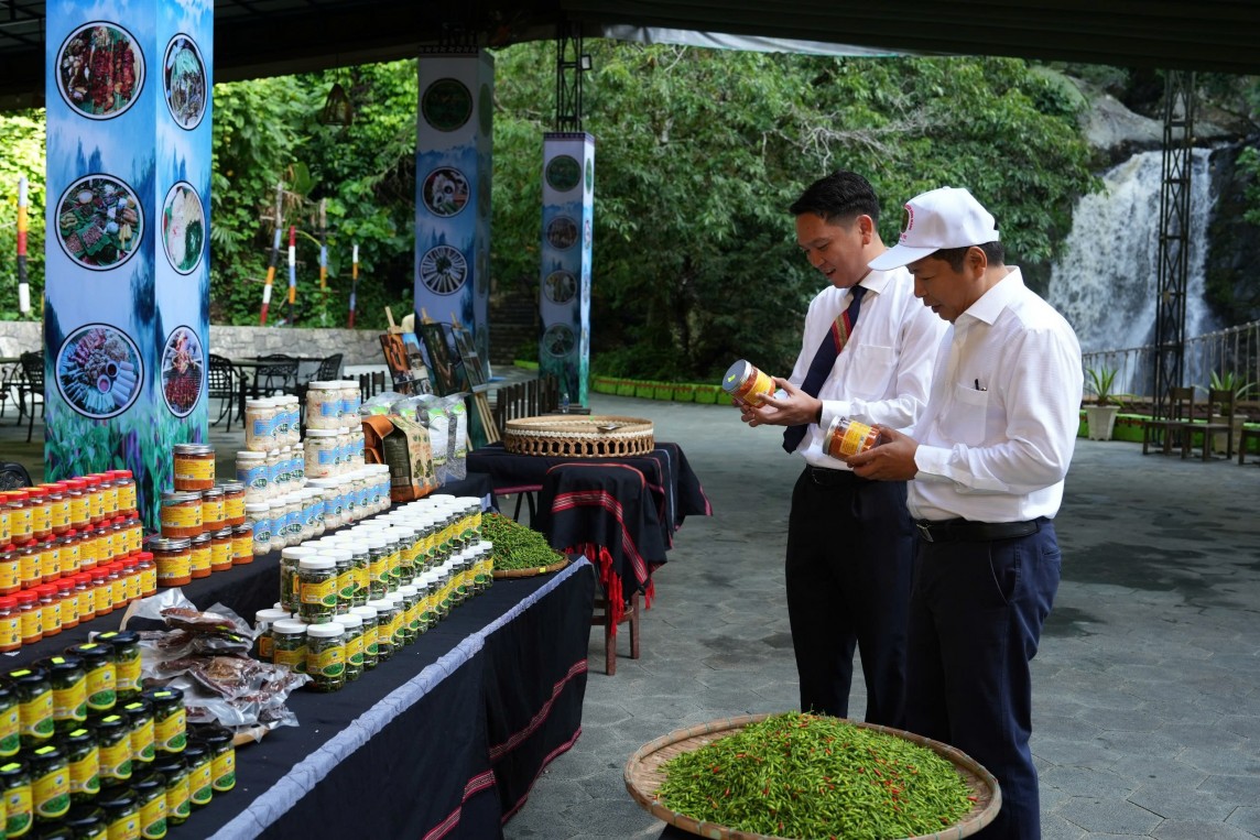 Xúc tiến thương mại ớt A Riêu - Đặc sản miền núi Quảng Nam Xúc tiến thương mại ớt A Riêu - Đặc sản miền núi Quảng Nam